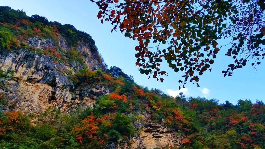 陇南旅游(陇南旅游景区有哪些)