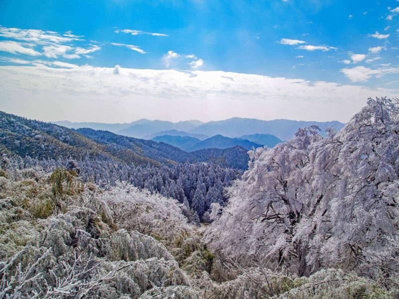 永州阳明山(永州阳明山杜鹃花什么时候开)