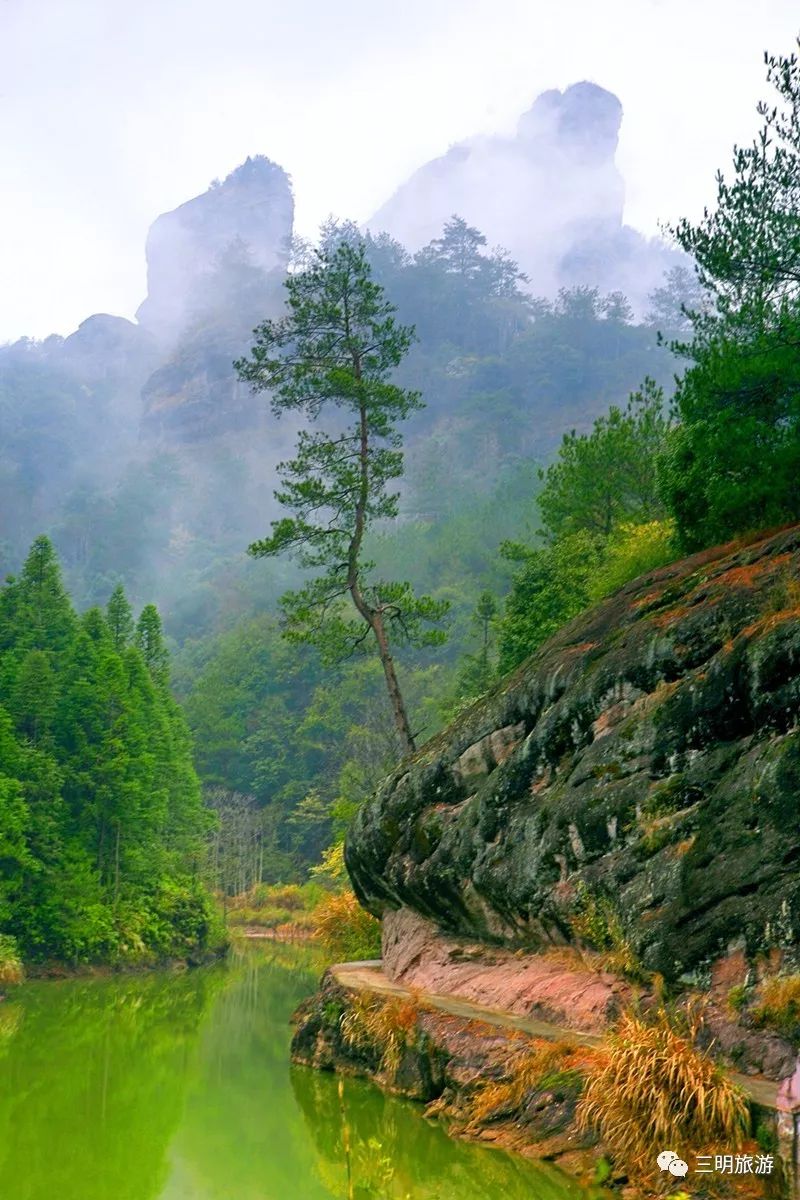 三明虎头山(三明虎头山海拔多少米)