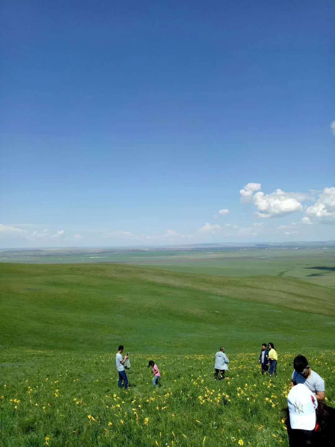 呼伦贝尔草原旅游(呼伦贝尔草原旅游名称)