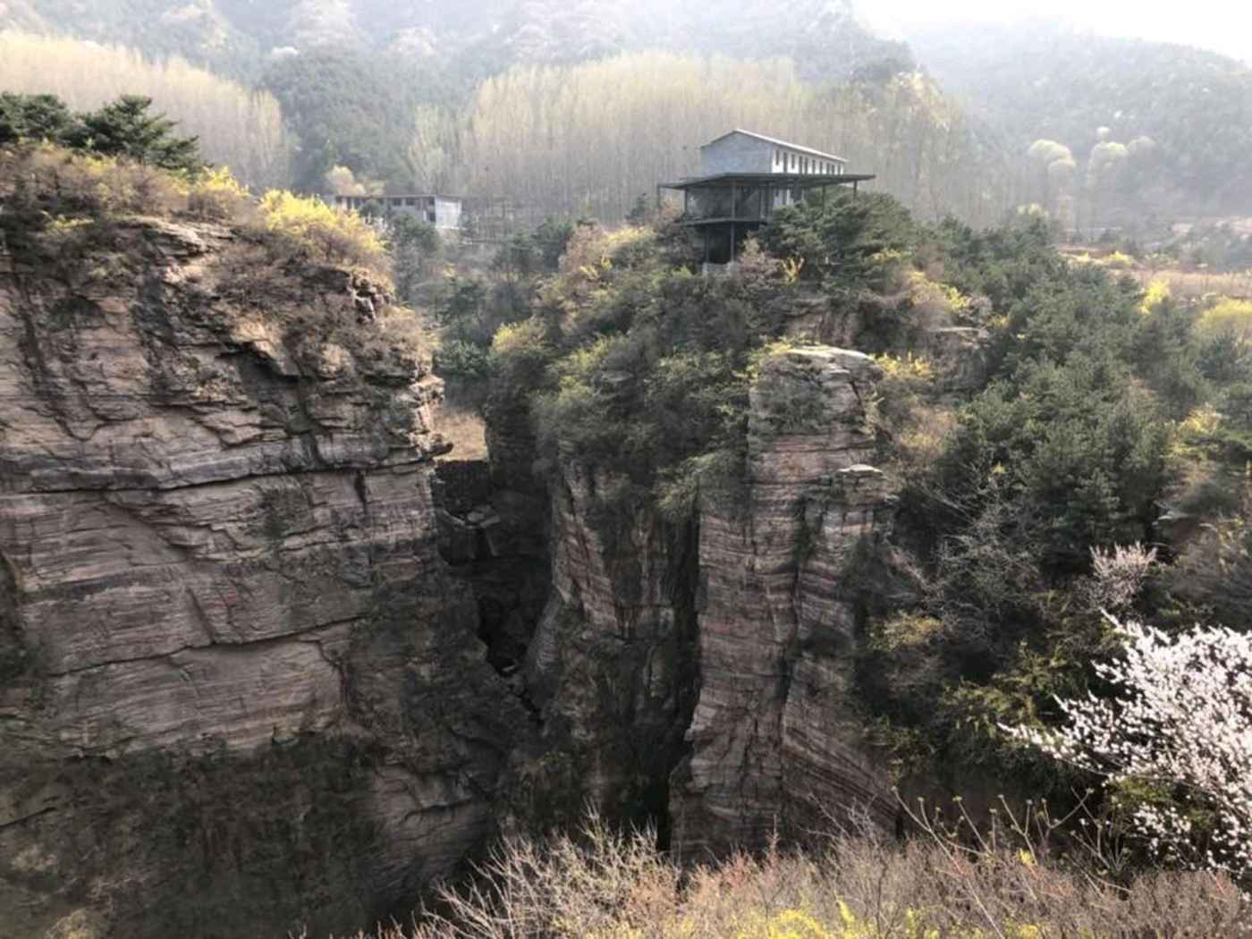 王莽岭风景区(王莽岭风景区电话)