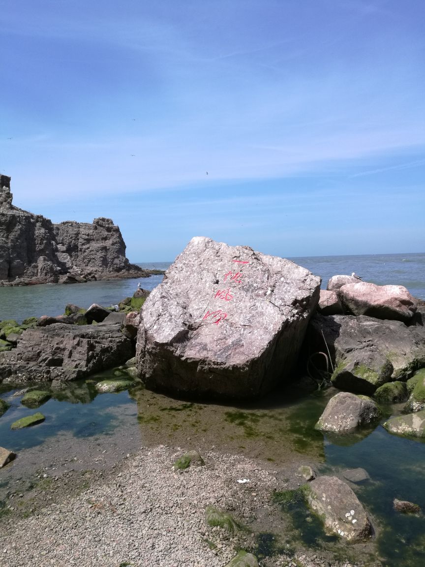 威海海驴岛(威海海驴岛几月份有海鸥)