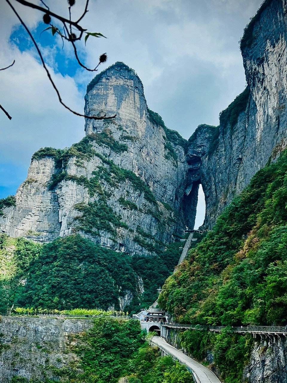 张家界风景图片(张家界风景图片 最美)