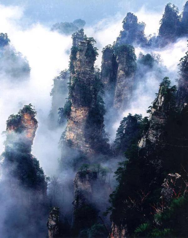 张家界风景图片(张家界风景图片 最美)