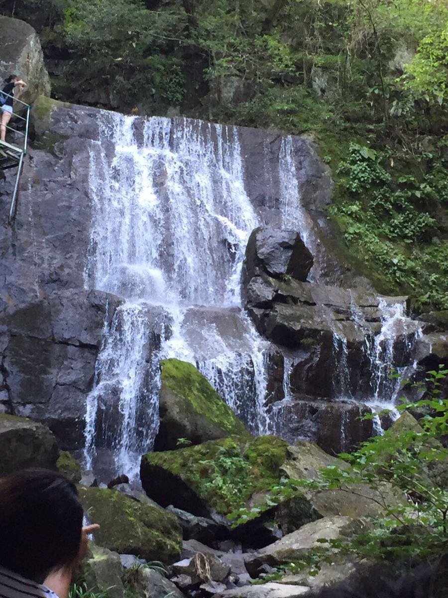 安吉旅游必去的景点(安吉旅游必去的景点云上草原)