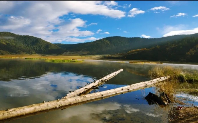 香格里拉旅游攻略(大理丽江香格里拉旅游攻略)