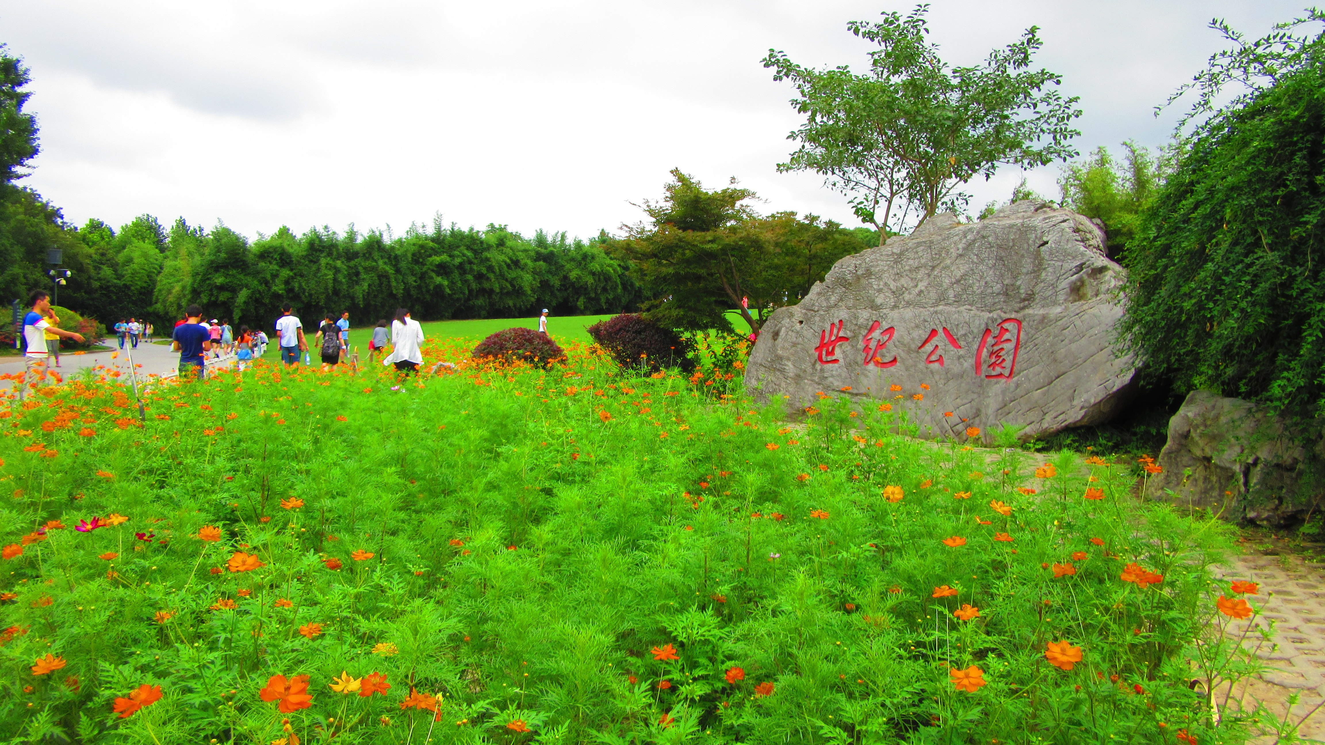 世纪公园门票(世纪公园门票60岁以上免费吗)