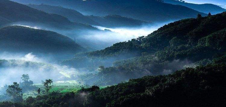 热带雨林风情园(热带雨林风情园电话)