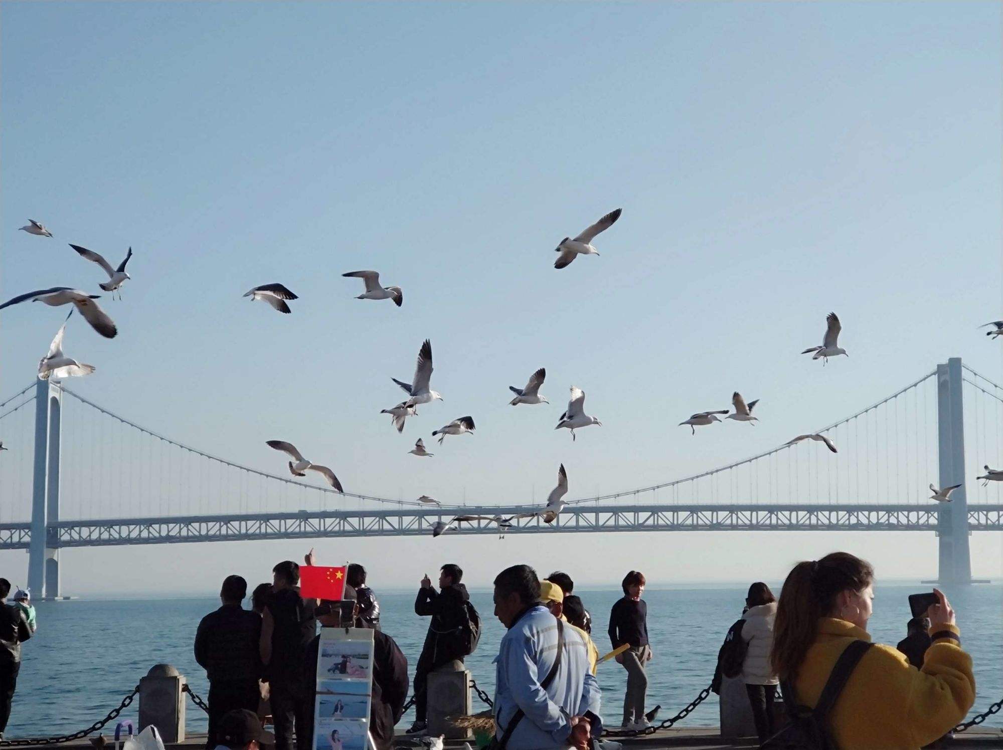 心海广场(心海广场海底捞)