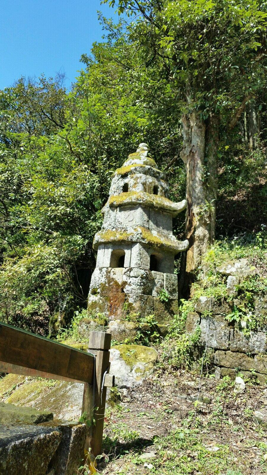 阳明山国家森林公园(阳明山国家森林公园在哪里)