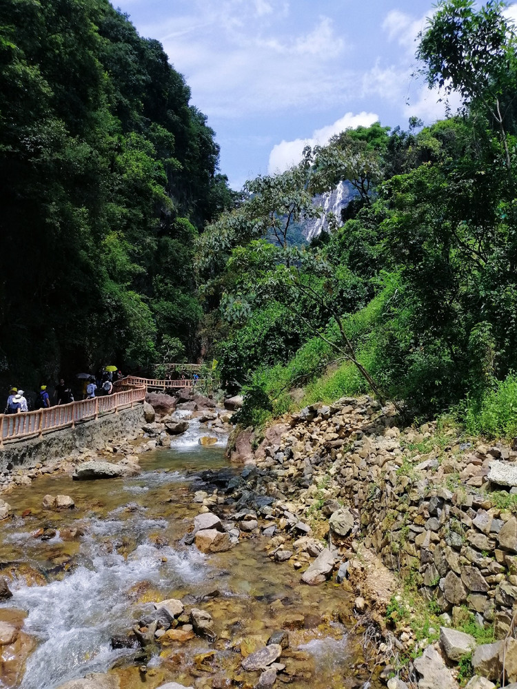 白水寨景区(白水寨景区管理处电话多少)