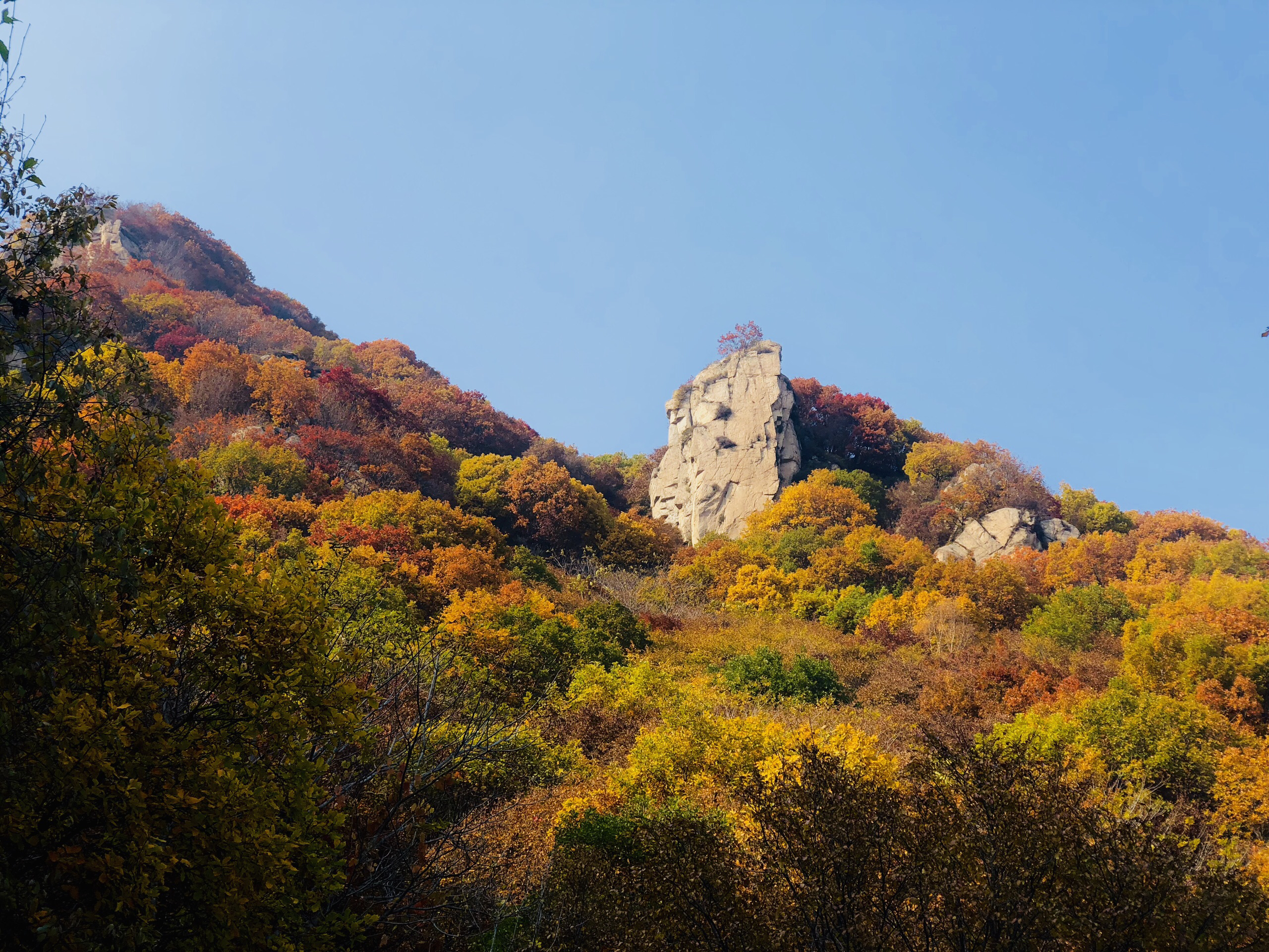 北京怀柔旅游(北京怀柔旅游休闲山庄)