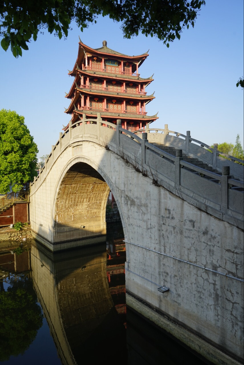 合肥旅游攻略(合肥旅游攻略必去景点推荐)