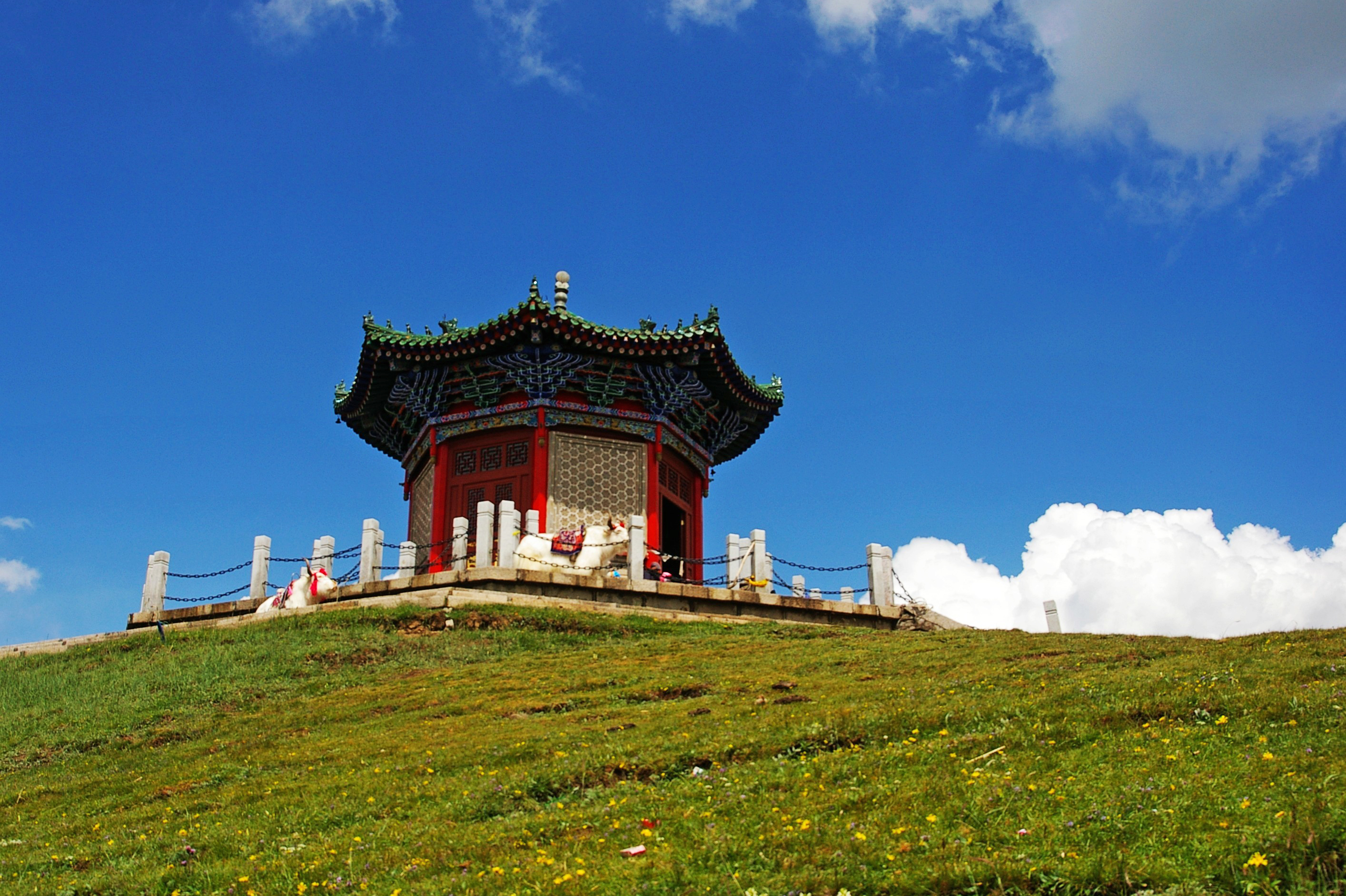 青海景点(青海景点对浙江人免费吗)