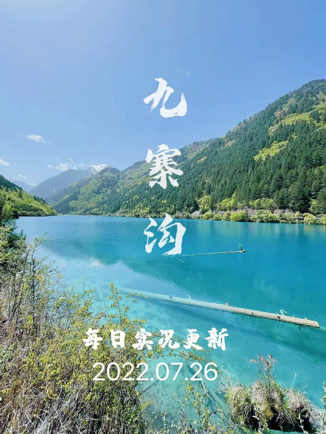 九寨沟门票(九寨沟门票多少钱2023)