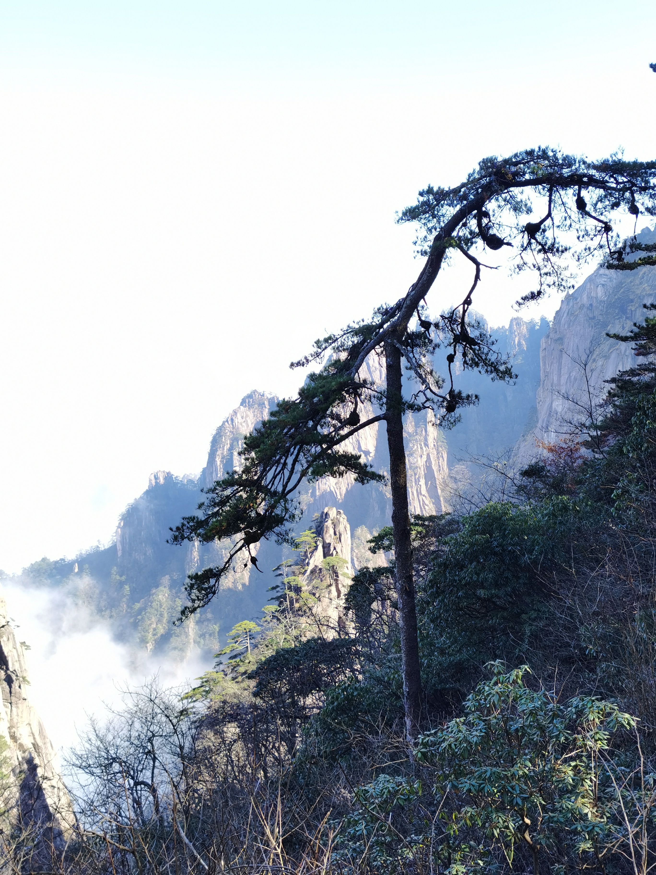 到黄山旅游(到黄山旅游高铁站怎么走)