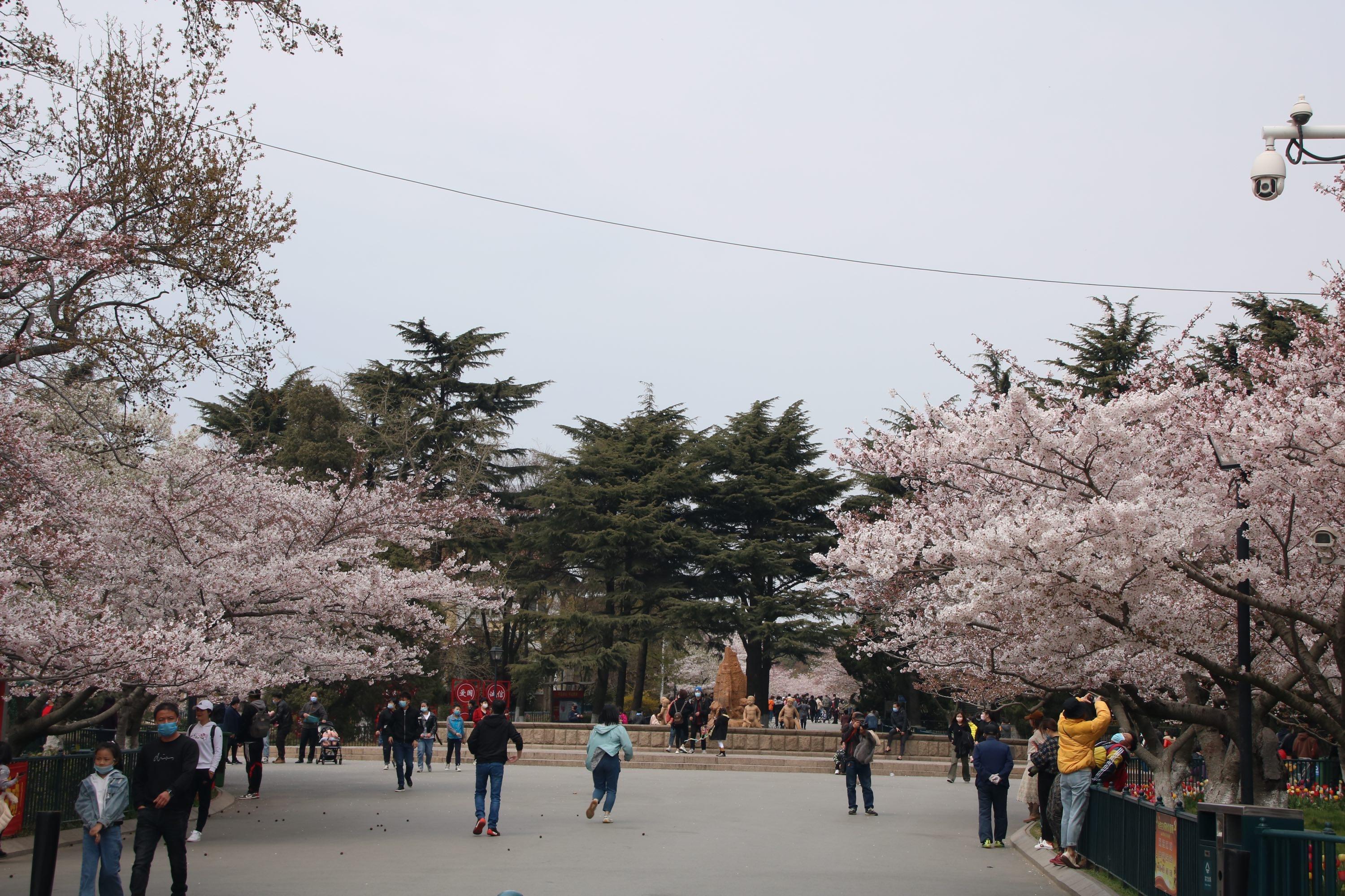 青岛中山公园(青岛中山公园地铁站是几号线)