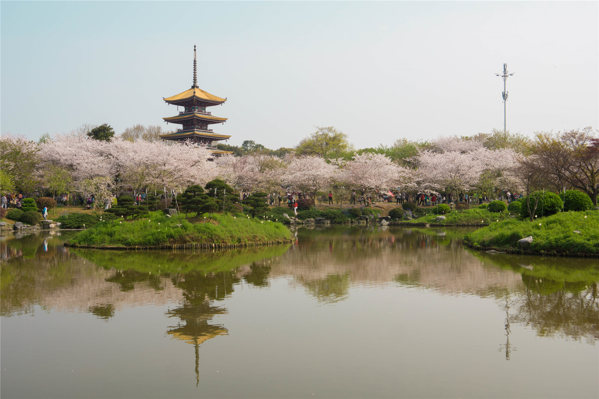 武汉旅游网(武汉旅游网站平台)