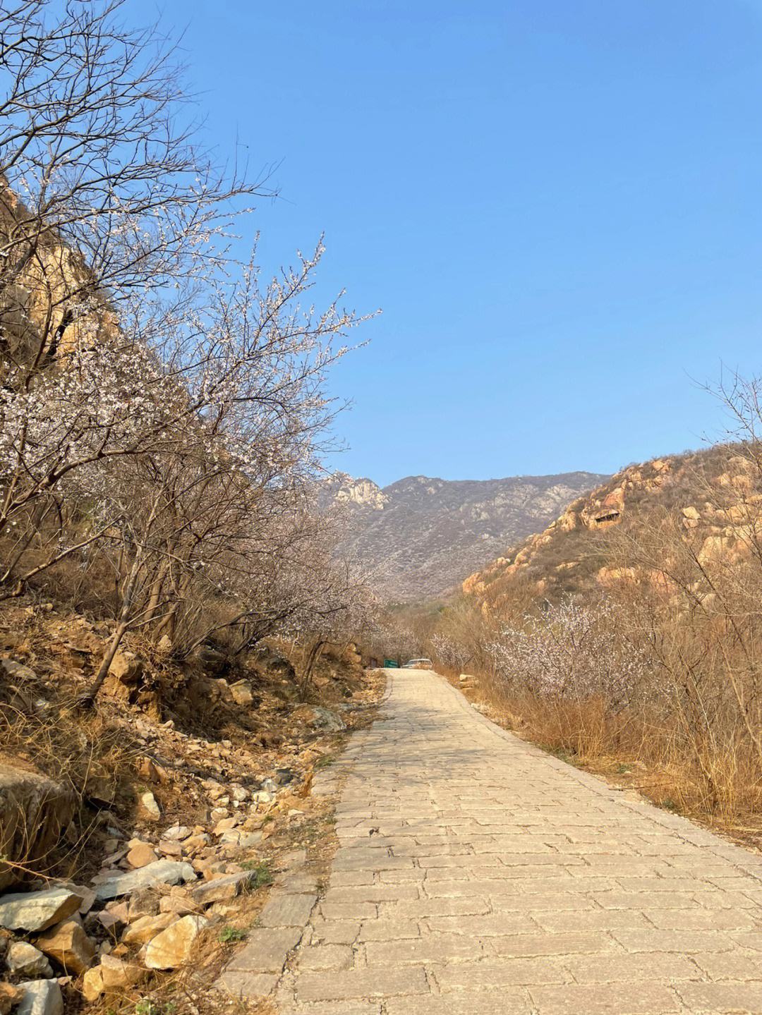 北京后花园风景区(北京后花园风景区电话)