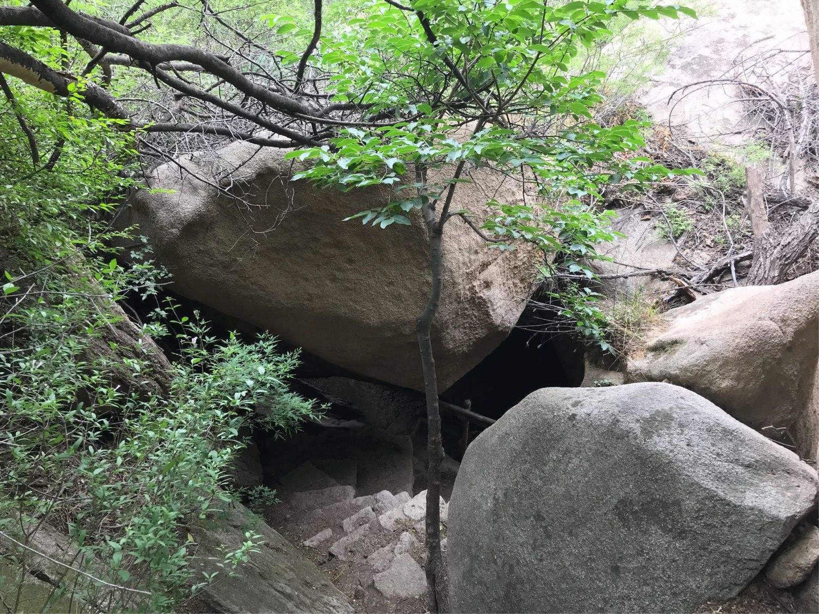 北京后花园风景区(北京后花园风景区电话)