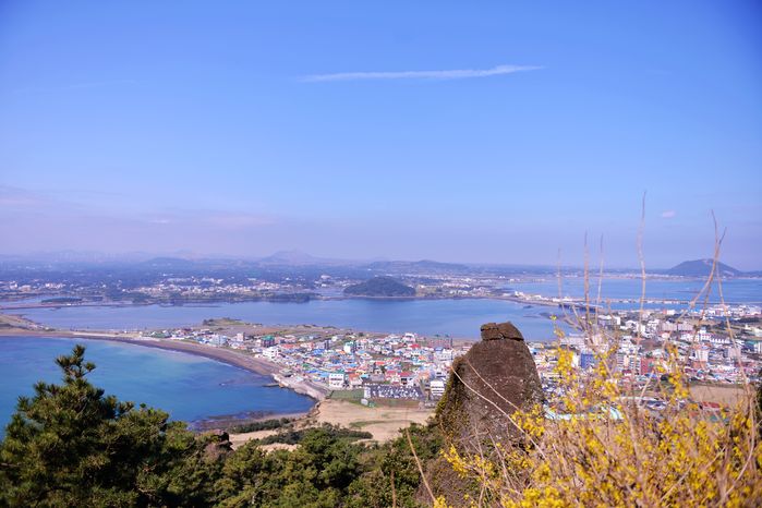 济州岛旅游报价(去济州岛旅游要多少钱)