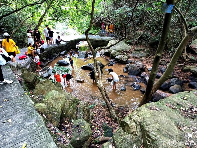 东莞旅游(东莞旅游必去十大景点免费)