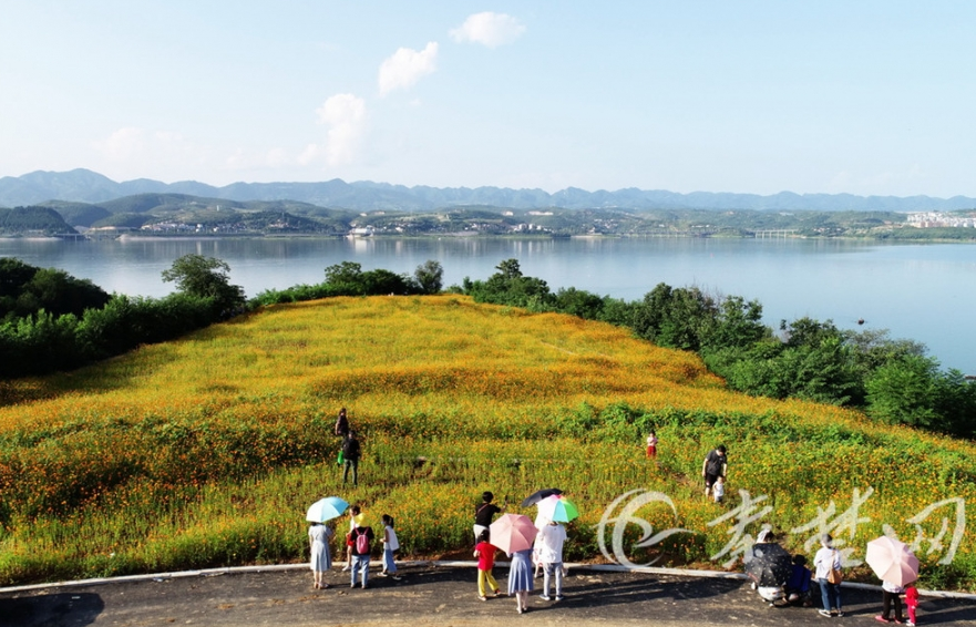 十堰旅游(十堰旅游景点有哪些)