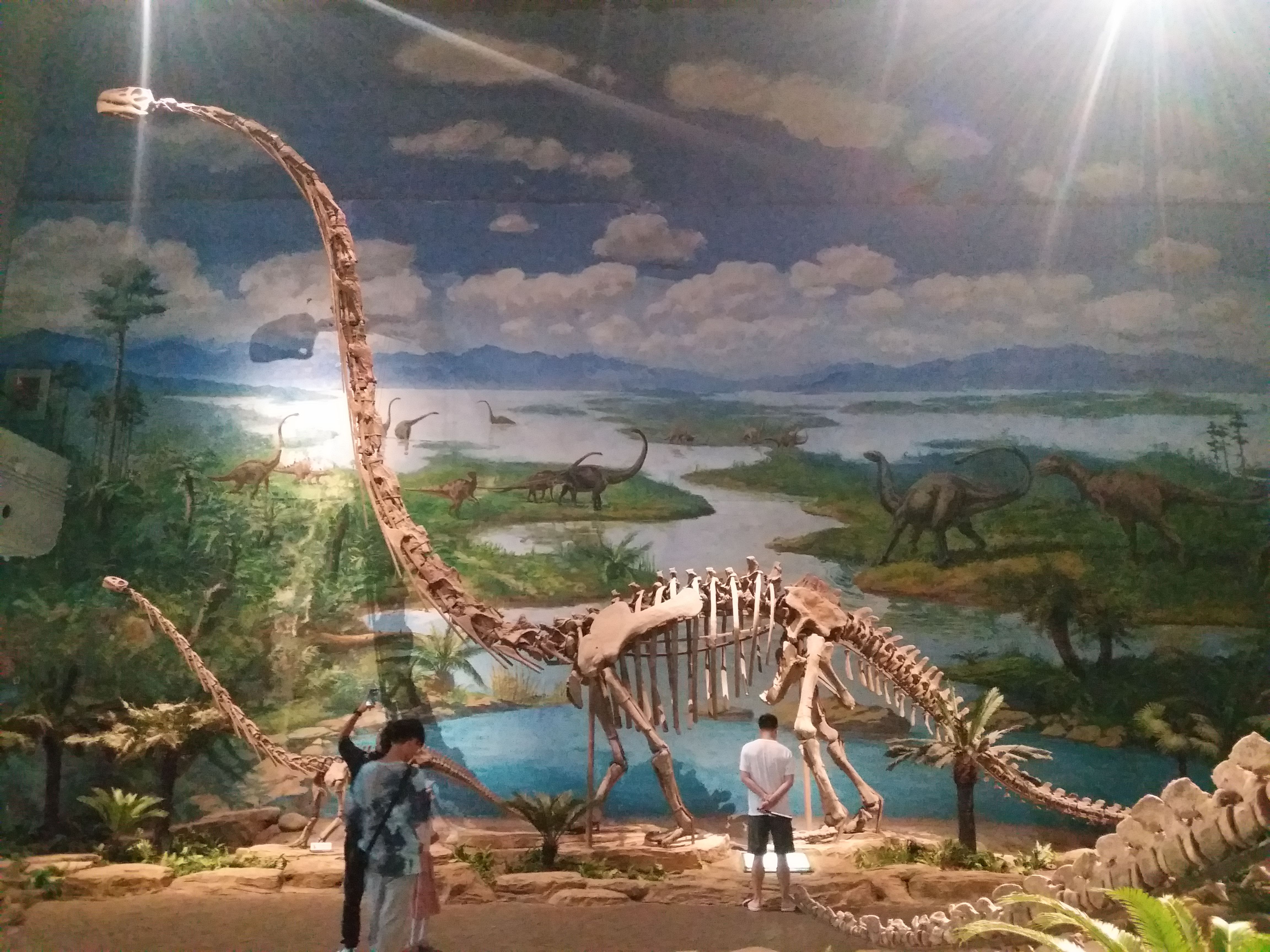 恐龙博物馆(恐龙博物馆介绍)