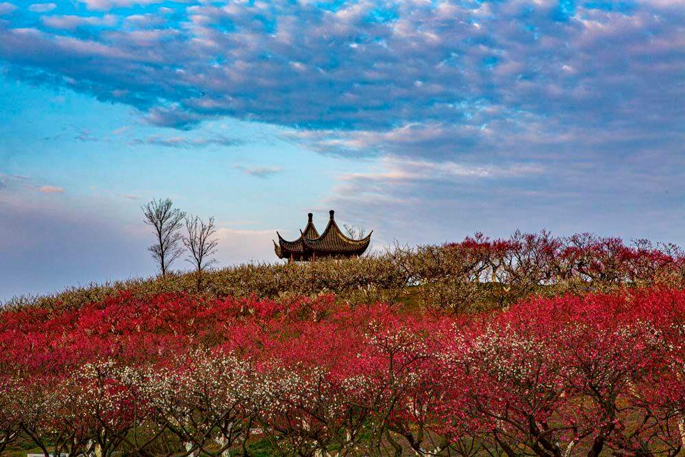 梅岭风景区(南昌梅岭风景区)