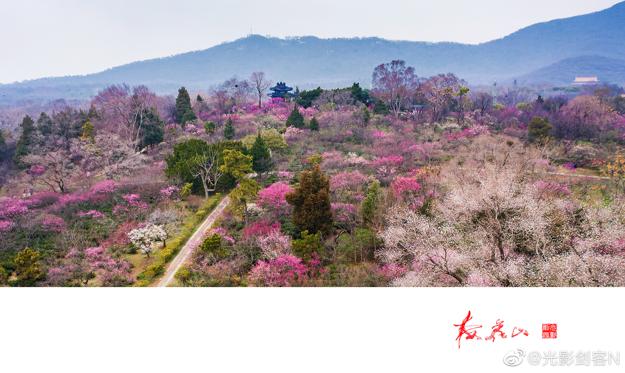 南京梅花山(南京梅花山庄湖畔之星)