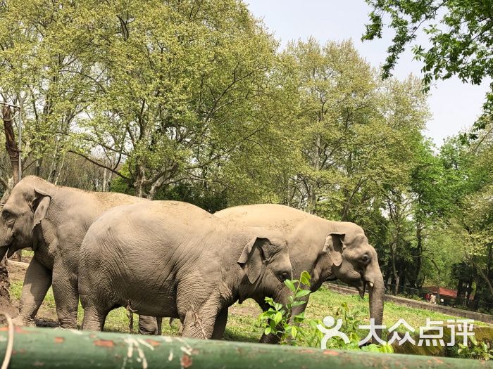 西郊动物园(西郊动物园地图)