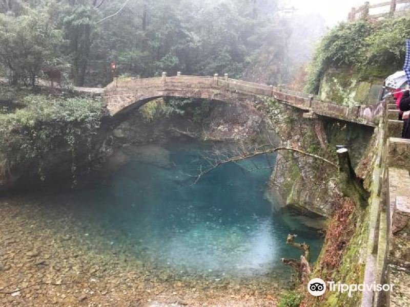 野鹤湫风景区(宁海野鹤湫什么原因关闭)