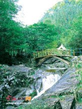 野鹤湫风景区(宁海野鹤湫什么原因关闭)