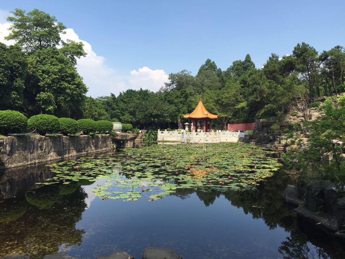 佛山三水森林公园(佛山三水森林公园要门票吗)