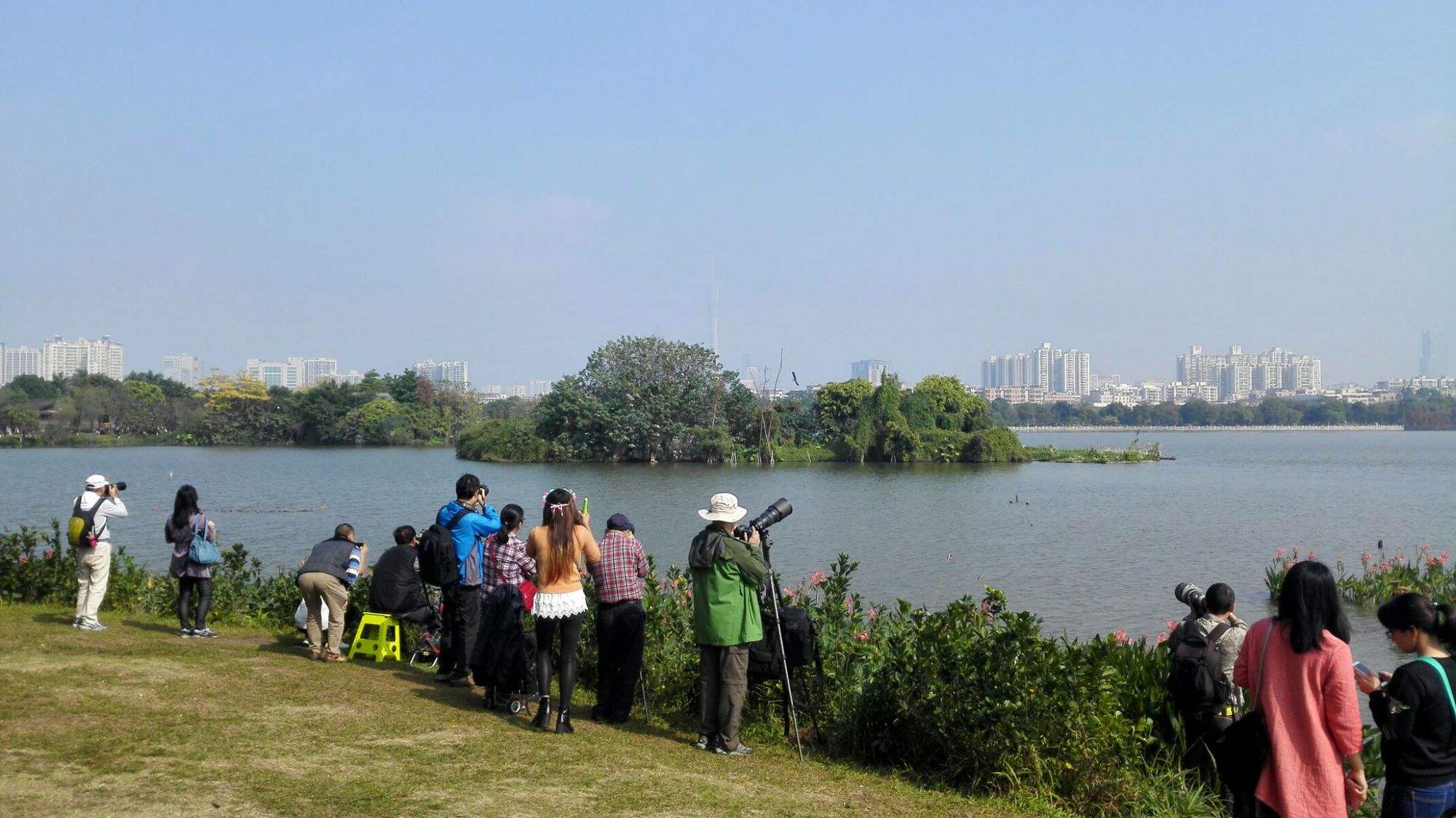 广州海珠湖公园(广州海珠湖公园和海珠国家湿地公园哪个好玩)