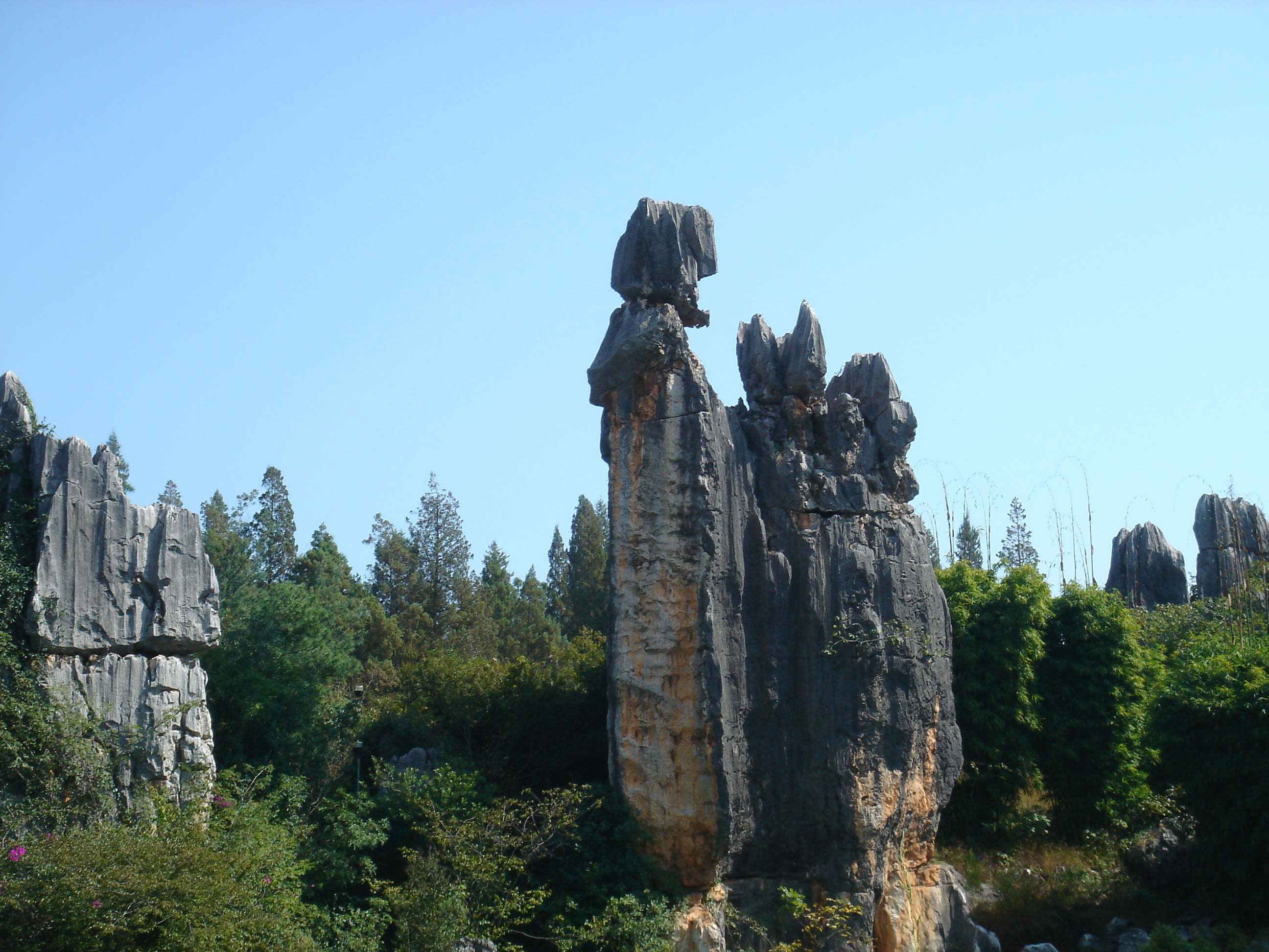 石林风景区(石林风景区在哪)