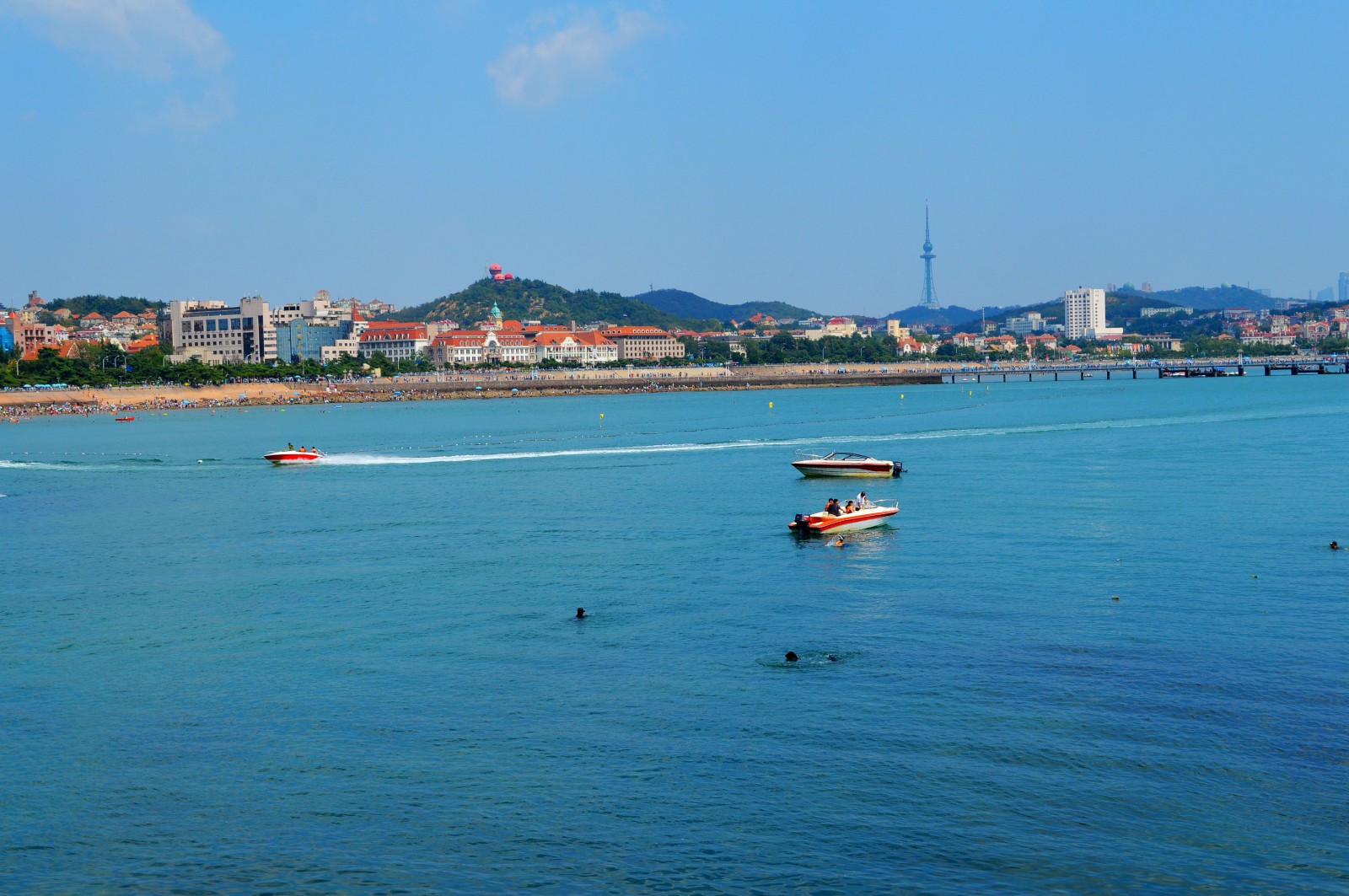 青岛旅游信息网(青岛旅游信息网官方)