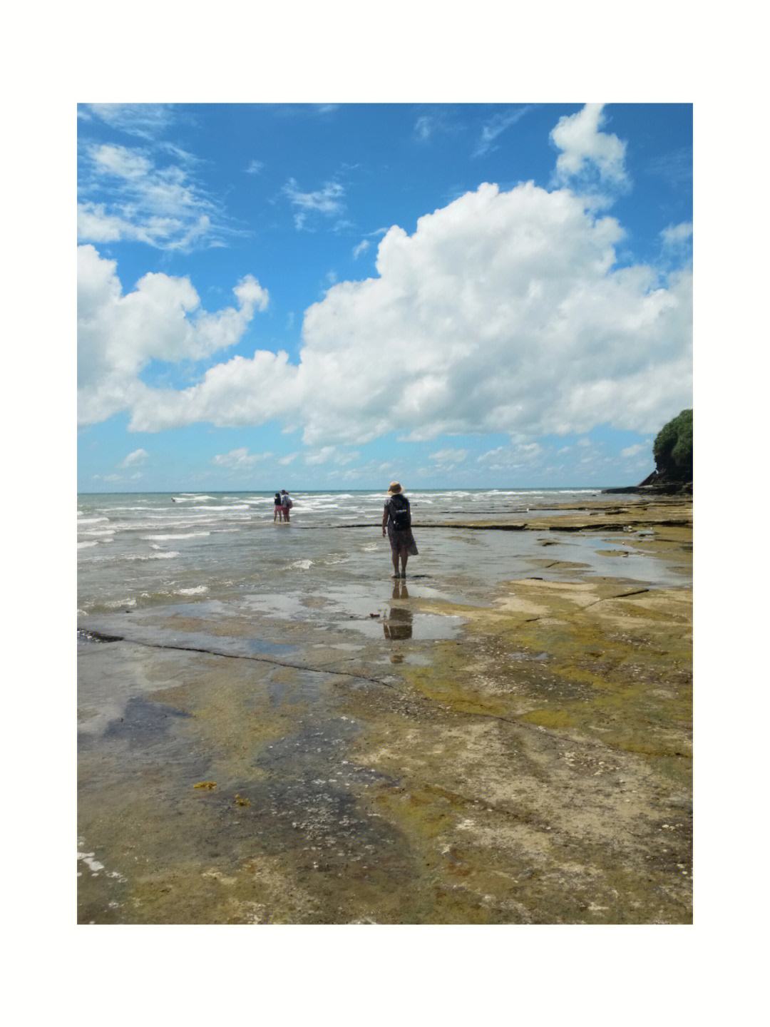 涠洲岛旅游网(涠洲岛旅游官网)