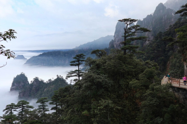 莽山旅游(莽山旅游区门票价格)