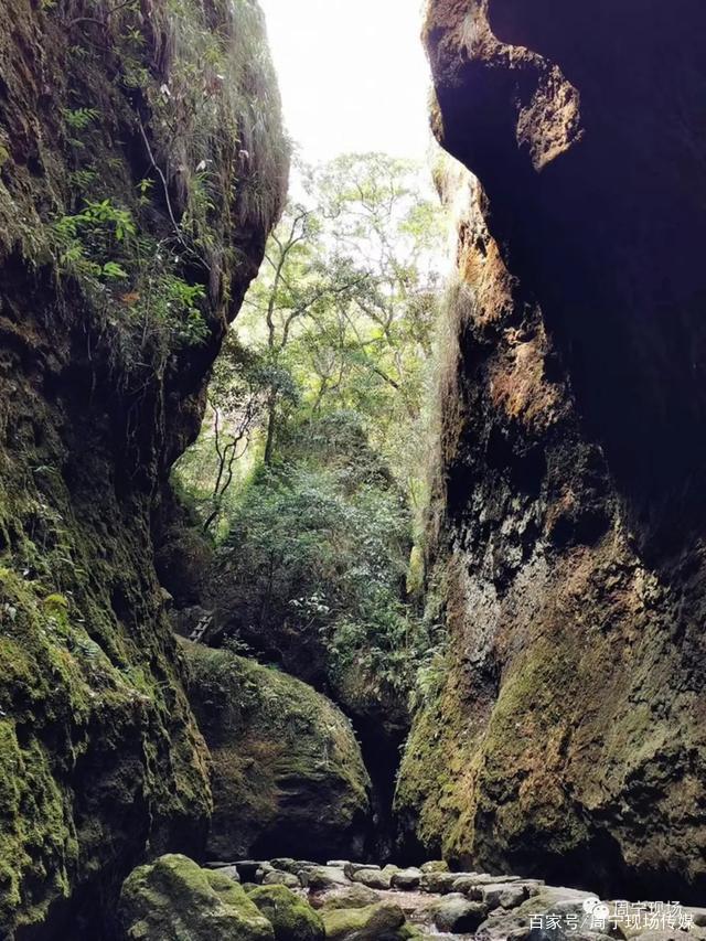 周宁蝙蝠洞(周宁蝙蝠洞生命之门)