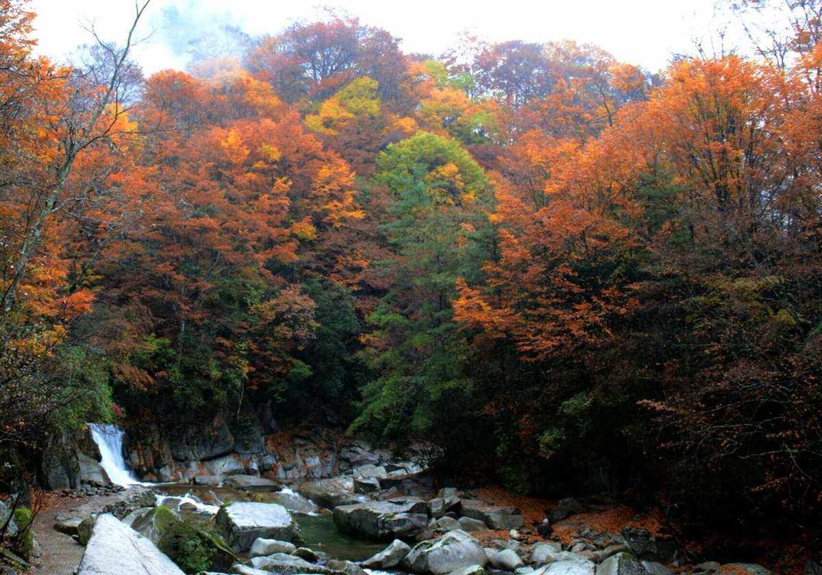 光雾山旅游攻略(光雾山旅游攻略光雾)