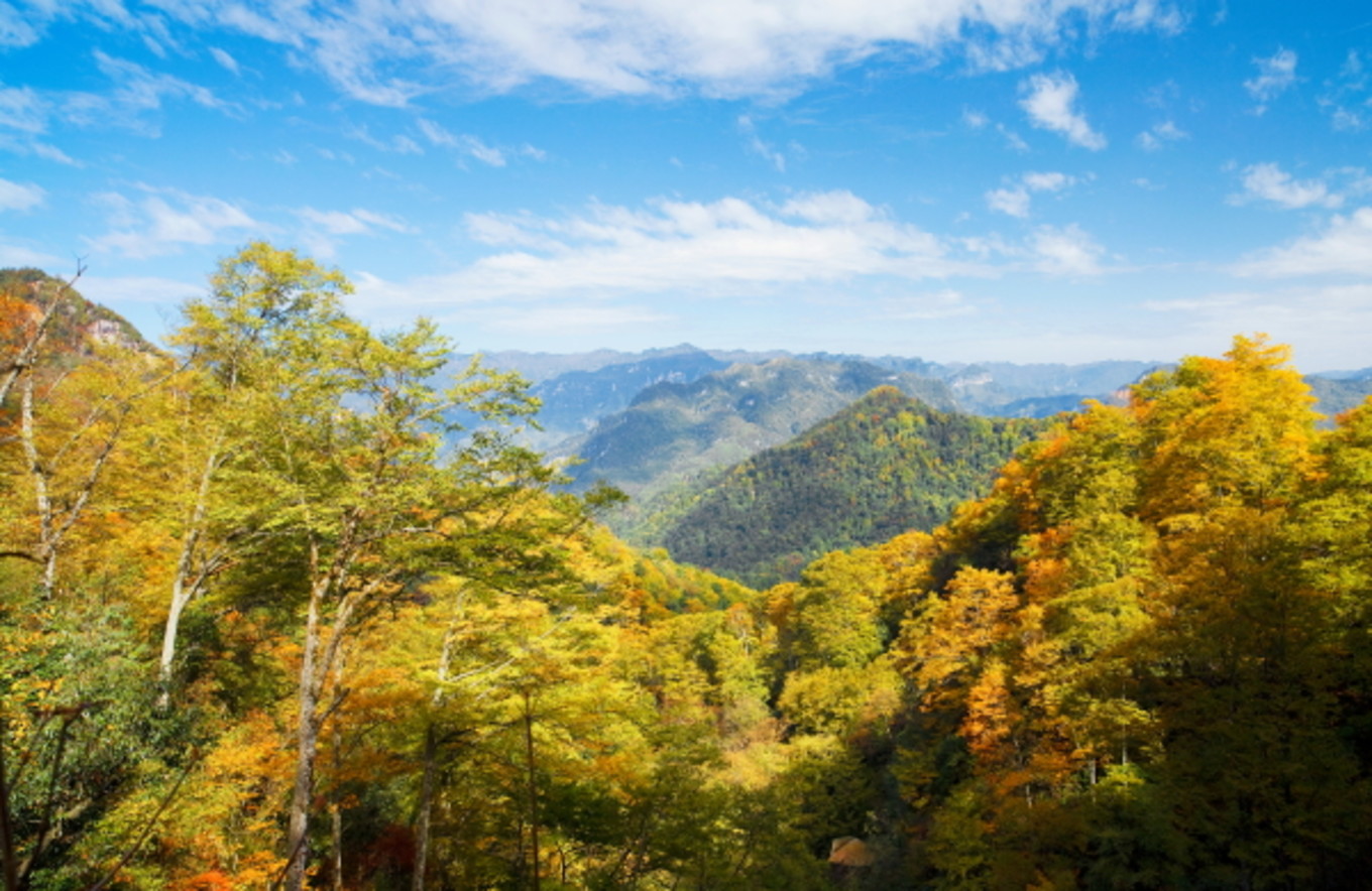 光雾山旅游攻略(光雾山旅游攻略光雾)