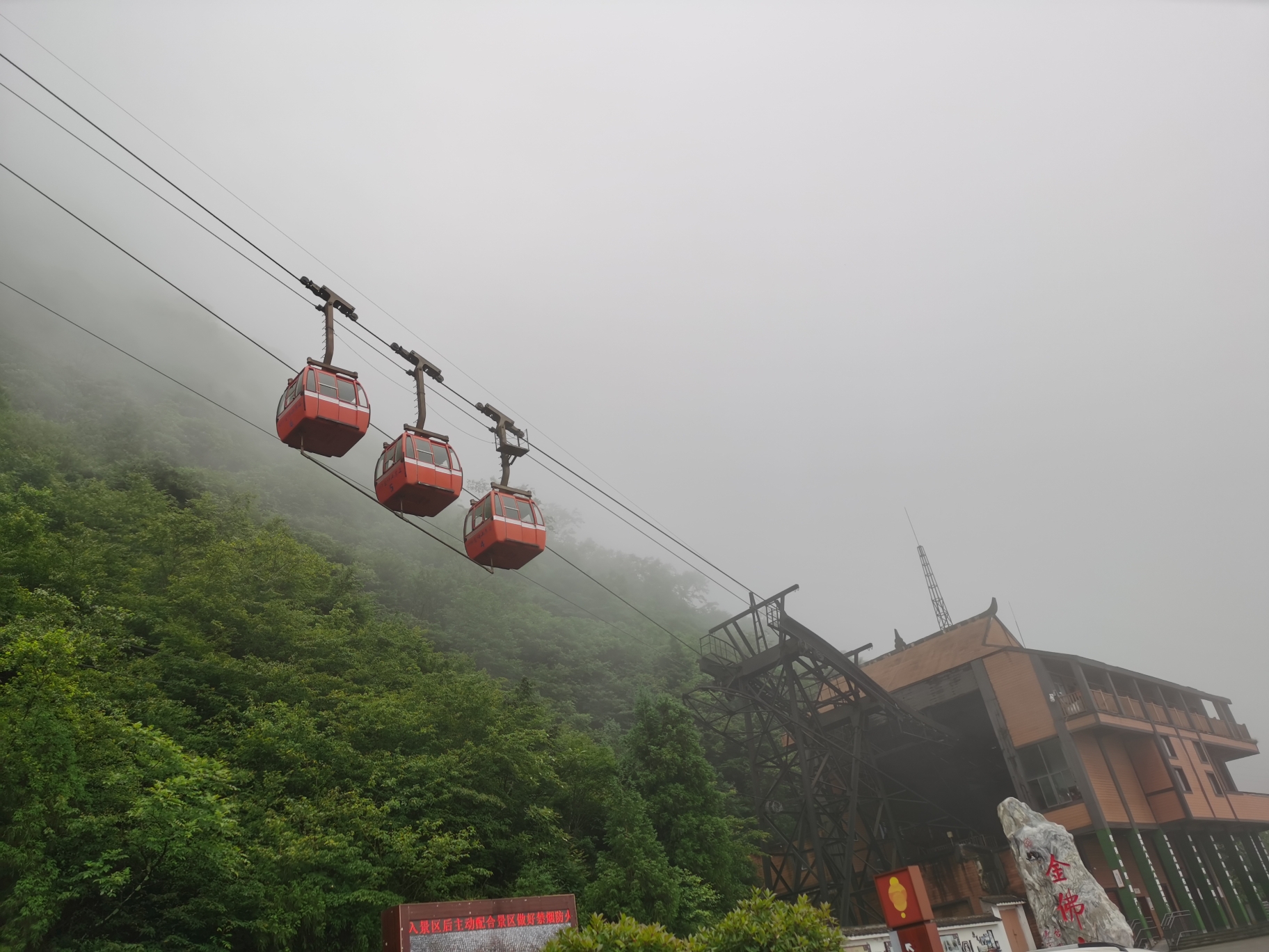 金佛山旅游(金佛山旅游攻略一日游)