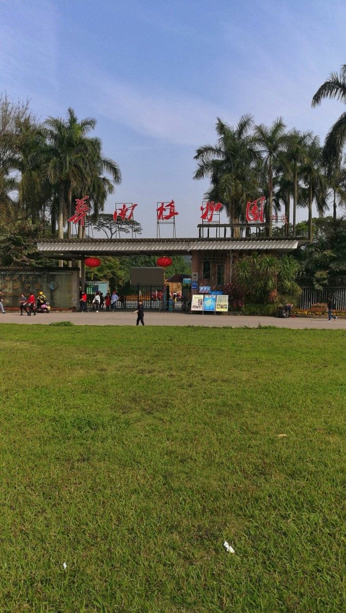 广州自助游(广州旅游攻略5日自助游攻略)