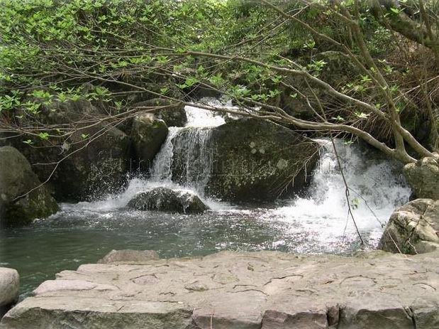 野鹤湫风景区(野鹤湫风景区门票)