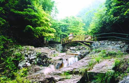 野鹤湫风景区(野鹤湫风景区门票)