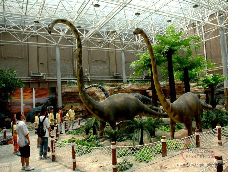 首都自然博物馆(北京自然博物馆人体展厅)