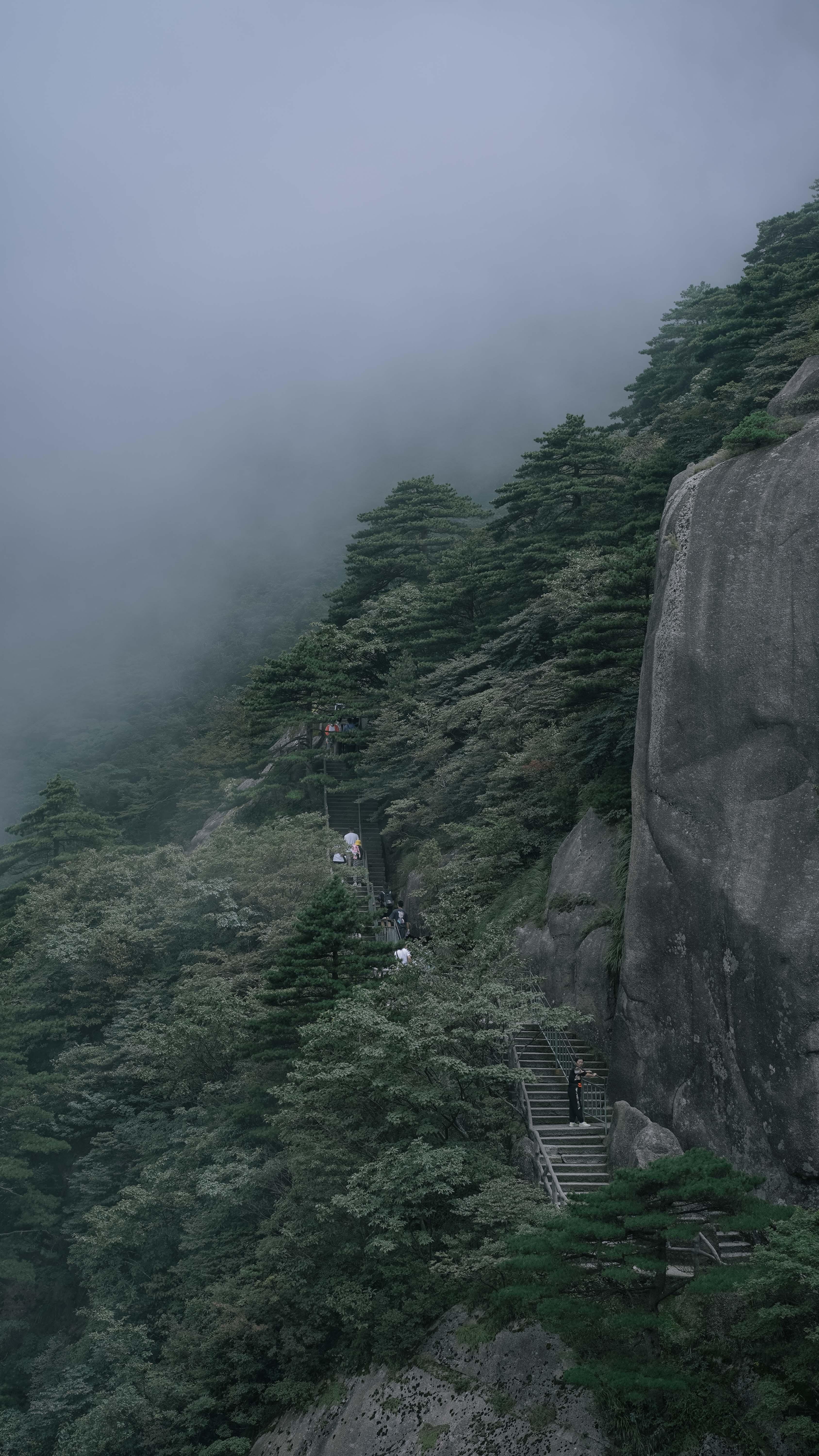 黄山风景区图片(黄山风景区图片大全夏天的图片)