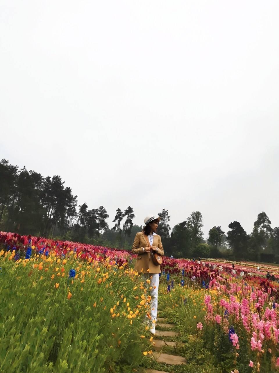 石象湖生态风景区(石象湖风景区门票价格)