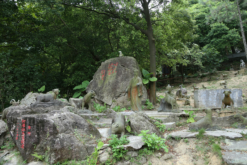 江门叱石风景区(江门叱石风景区公园开放时间)